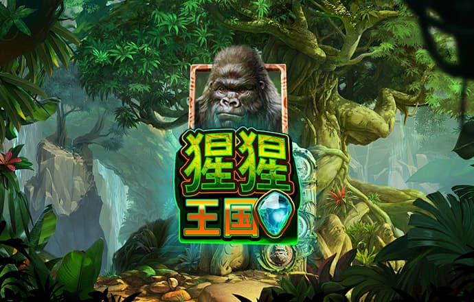 开云登录入口登录